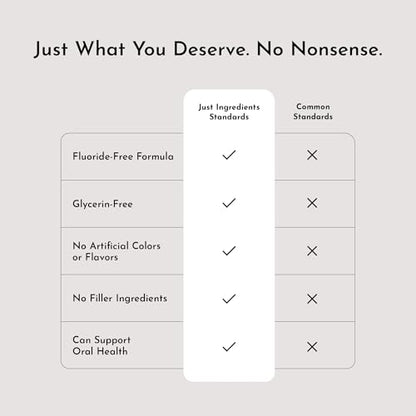 JUST INGREDIENTS Remineralizing Fluoride Free Natural Tooth Powder