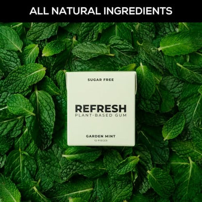 Refresh Gum Garden Mint Sugar Free Chewing Gum - Xylitol, Plant-Based, Synthetic-Free, Vegan & Non-GMO (1 Pack)