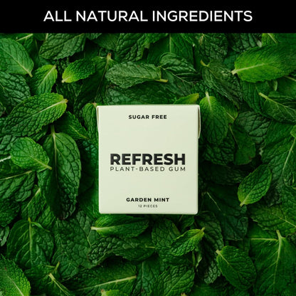 Refresh Gum, Sugar Free, Natural, Xylitol, Long Lasting Chewing Gum, Natural Flavors, Organic Ingredients, Plastic Free, Non GMO, Gluten Free, Vegan, 1 Pack