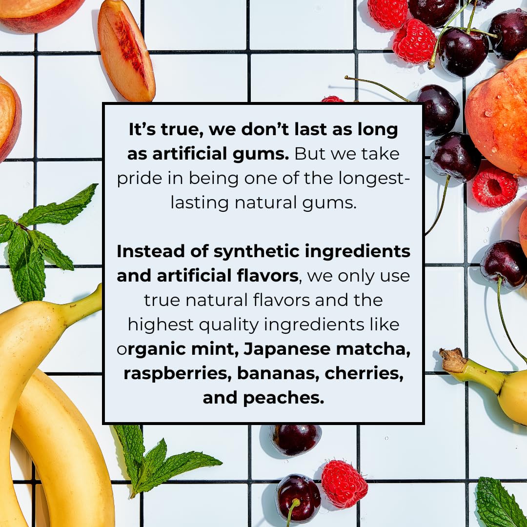 Refresh Gum, Sugar Free, Natural, Xylitol, Long Lasting Chewing Gum, Natural Flavors, Organic Ingredients, Plastic Free, Non GMO, Gluten Free, Vegan, 1 Pack