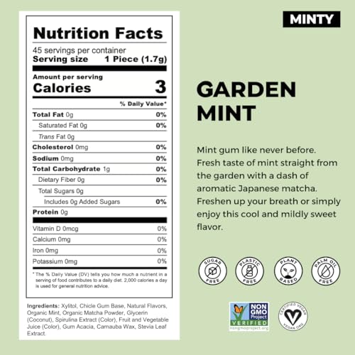 Refresh Gum Garden Mint Sugar Free Chewing Gum - Xylitol, Plant-Based, Synthetic-Free, Vegan & Non-GMO (1 Pack)