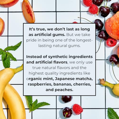 Refresh Gum Garden Mint Sugar Free Chewing Gum - Xylitol, Plant-Based, Synthetic-Free, Vegan & Non-GMO (1 Pack)